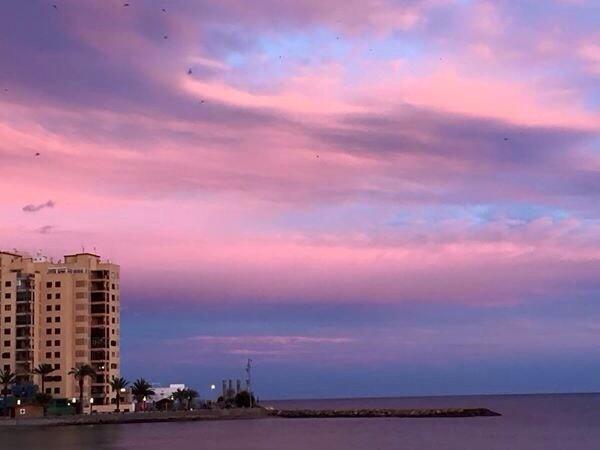 Jumilla III Διαμέρισμα Dehesa de Campoamor  Δωμάτιο φωτογραφία
