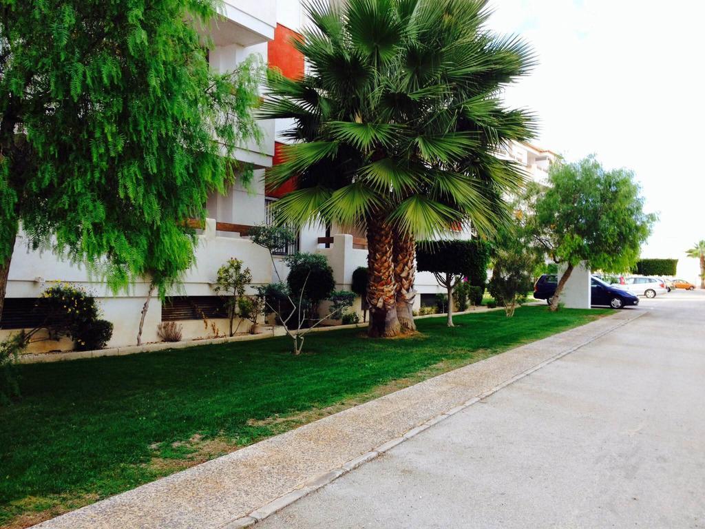 Jumilla III Διαμέρισμα Dehesa de Campoamor  Δωμάτιο φωτογραφία